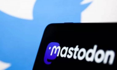 Mastodon | ട്വിറ്റർ ഉപയോക്താക്കൾ മാസ്റ്റഡോണിലേക്ക്; എന്താണ് മാസ്റ്റഡോൺ? പ്രത്യേകതകൾ