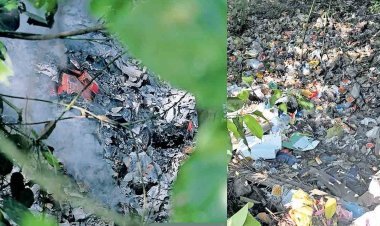 960 ലീറ്റർ പാൽ പറമ്പിൽ ഒഴുക്കി, ക്രിസ്മസ് കേക്കുകള്‍ കൂട്ടിയിട്ടു കത്തിച്ചു; അന്വേഷണം നടത്തണമെന്നു സംഘടനകൾ