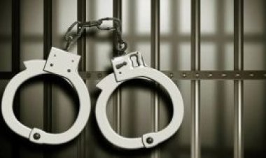 മദ്യപിച്ച് ബഹളം ഉണ്ടാക്കിയതിന് പത്തനംതിട്ടയിലെ സിപിഎം കൗൺസിലറും എസ്എഫ്ഐ നേതാവും കസ്റ്റഡിയിൽ