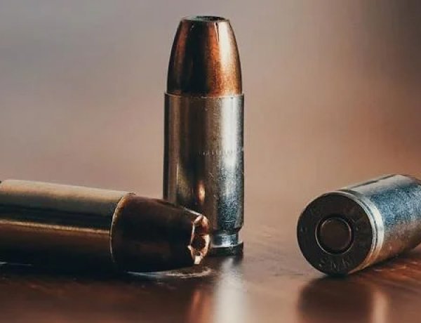 മ​ര​ത്തി​ന്‍റെ പൊ​ത്തി​ൽ വെ​ടി​യു​ണ്ട