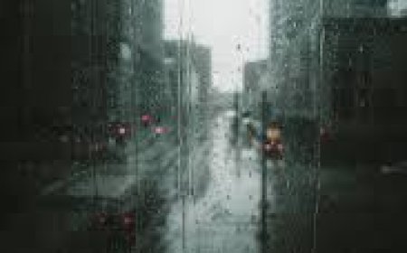 ഷാര്‍ജയിലെ പൊതുപാര്‍ക്കുകള്‍ അടച്ചു