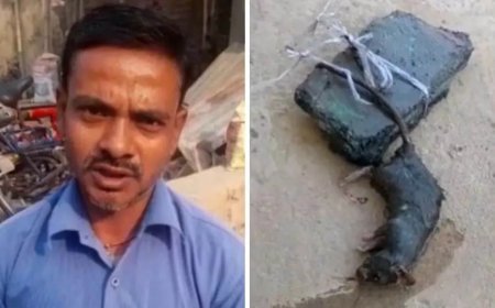 എലിയെ വാലിൽ കല്ലുകെട്ടി വെള്ളത്തിൽ മുക്കിക്കൊന്ന യുവാവിനെതിരെ 30 പേജുള്ള കുറ്റപത്രവുമായി യു പി പൊലീസ്