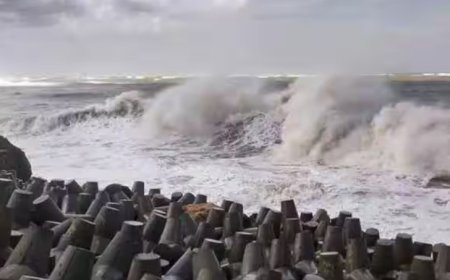 Cyclone Biparjoy Intensifies: IMD Issues Alert For Saurashtra And Kutch Coast Of Gujarat
