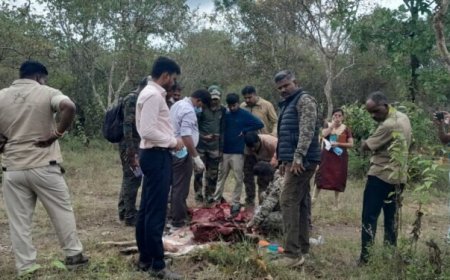 ബന്ദിപ്പുരിൽ മാൻവേട്ടക്കാരും വനംവകുപ്പ് ഉദ്യോഗസ്ഥരും ഏറ്റുമുട്ടി; വെടിവെയ്പ്പിൽ ഒരു മരണം