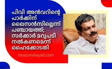 പിവി അന്‍വറിന്റെ പാര്‍ക്കിന് ലൈസന്‍സില്ലെന്ന് പഞ്ചായത്ത്; സര്‍ക്കാര്‍ മറുപടി നല്‍കണമെന്ന് ഹൈക്കോടതി