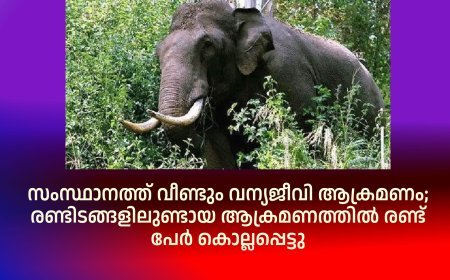 സംസ്ഥാനത്ത് വീണ്ടും വന്യജീവി ആക്രമണം; രണ്ടിടങ്ങളിലുണ്ടായ ആക്രമണത്തില്‍ രണ്ട് പേര്‍ കൊല്ലപ്പെട്ടു