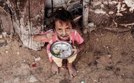 'ഗാസയില്‍ സഹായവിതരണം തടയരുത്, അവശ്യസാധനങ്ങള്‍ ഉടൻ എത്തിക്കണം'; ഇസ്രയേലിന് അന്താരാഷ്ട്ര നീതിന്യായ കോടതിയുടെ  നിർദ്ദേശം