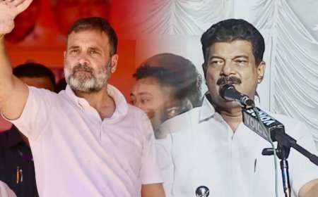 രാഹുൽ ​ഗാന്ധിക്കെതിരായ അധിക്ഷേപ പരാമർശം: പി വി അൻവറിനെതിരെ കേസെടുക്കാൻ കോടതി നിർദ്ദേശം