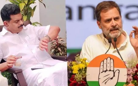 രാഹുല്‍ ഗാന്ധിയുടെ പിതൃത്വത്തെ ചോദ്യം ചെയ്തുള്ള ഡിഎന്‍എ പരമാര്‍ശം; കോടതി കടുപ്പിച്ചപ്പോള്‍ പൊലീസ് നടപടി; പിവി അന്‍വറിനെതിരെ കേസെടുത്തു