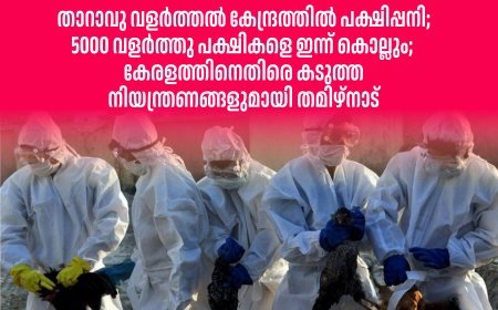 സര്‍ക്കാര്‍ താറാവു വളര്‍ത്തല്‍ കേന്ദ്രത്തില്‍ പക്ഷിപ്പനി; 5000 വളര്‍ത്തു പക്ഷികളെ ഇന്ന് കൊല്ലും; കേരളത്തിനെതിരെ കടുത്ത നിയന്ത്രണങ്ങളുമായി തമിഴ്‌നാട്