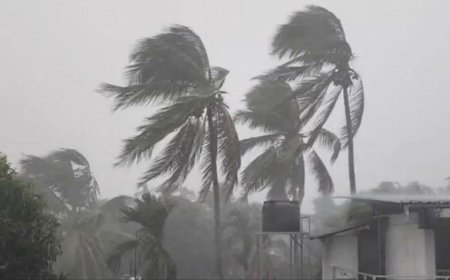 സംസ്ഥാനത്ത് കനത്ത മഴ; പാലക്കാട് വീട് ഇടിഞ്ഞുവീണ് അമ്മയും മകനും മരിച്ചു