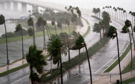 ഫ്ലോറിഡയിൽ കൊടുങ്കാറ്റ് ഭീതി, 55 ലക്ഷംപേരെ ഒഴിപ്പിച്ചതായി യുഎസ് ഗവണ്മെന്റ് | Milton hurricane Florida USA