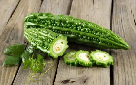 ആരോഗ്യത്തിന് ഉത്തമം പാവയ്ക്കാ ജ്യൂസ് | Bitter Gourd Juice