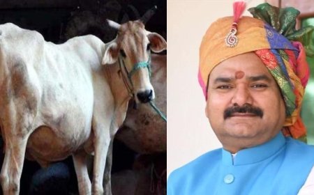 'പശുത്തൊഴുത്തിൽ കിടന്നാൽ ക്യാൻസർ ഭേദമാകും, വിവാഹ വാർഷിക- ജന്മദിന ആഘോഷങ്ങൾ ഗോശാലകളിൽ നടത്തണം'; യുപി മന്ത്രി