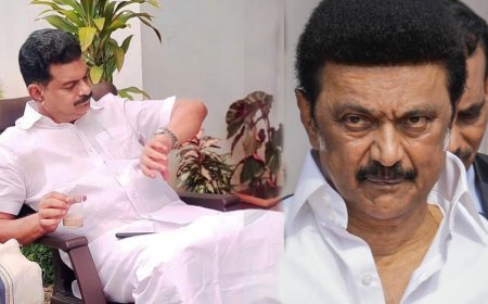 'പിവി അന്‍വറുമായി ഒരു ബന്ധവുമില്ല; പാര്‍ട്ടിയുടെ കൊടിയും ഷാളും ഉപയോഗിച്ചതിന് താക്കീത് നല്‍കി'; നിലമ്പൂര്‍ എംഎല്‍എയെ തള്ളി ദ്രാവിഡ മുന്നേറ്റ കഴകം