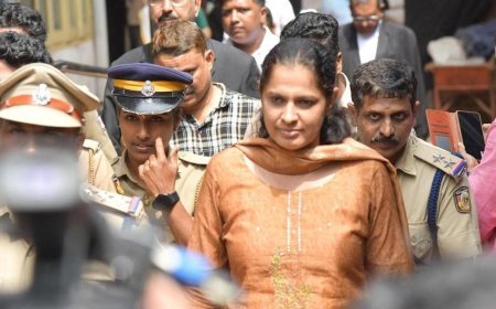 'പി പി ദിവ്യക്ക് ജാമ്യം നൽകിയത് സ്ത്രീ എന്ന പരിഗണന നൽകി