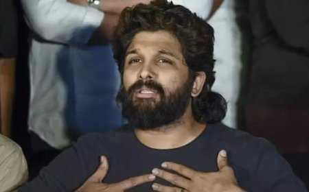 അല്ലു അര്‍ജുന്റെ വീട് കയറി ആക്രമണം; എട്ട് പേര്‍ പൊലീസ് കസ്റ്റഡിയില്‍
