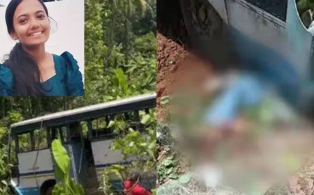 നേര്യമംഗലത്ത് കെഎസ്ആർടിസി ബസ് താഴ്ചയിലേക്ക് മറിഞ്ഞ് പെൺകുട്ടി മരിച്ചു; 25ഓളം പേർക്ക് പരിക്ക്