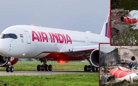 ബോയിങ് ഡ്രീംലൈനര്‍ 787- 8ന്റെ പറക്കല്‍ തല്‍ക്കാലം അവസാനിപ്പിക്കാന്‍ ഇന്ത്യ;