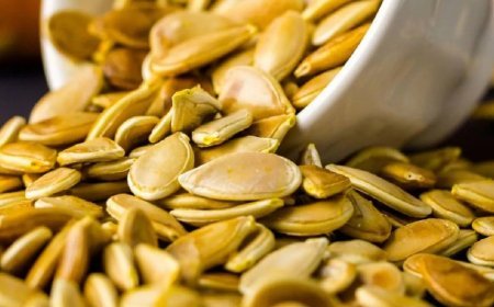 Pumpkin Seeds: ഉറക്കക്കുറവിനും രോഗപ്രതിരോധ ശേഷിക്കും