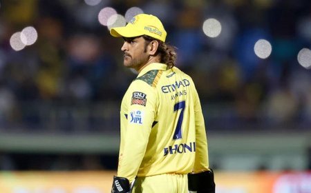 'ധോണി വിരമിക്കില്ല, അടുത്ത ഐപിഎലിലും ഉണ്ടാകും'; പ്രതികരിച്ച് ചെന്നൈ സിഇഒ