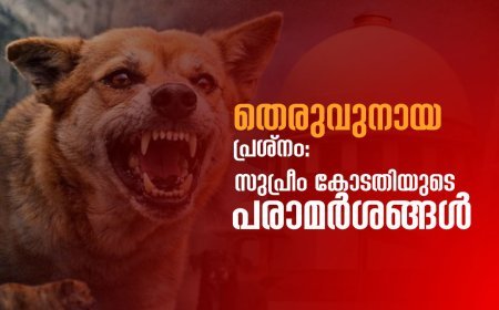 തെരുവുനായ പ്രശ്നം: സുപ്രീം കോടതിയുടെ പരാമർശങ്ങൾ