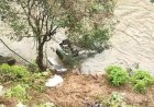 ഇടുക്കി ഏലപ്പാറയ്ക്ക് സമീപം കാർ തോട്ടിലേക്ക് മറിഞ്ഞ് തിരുവനന്തപുരം സ്വദേശി മരിച്ചു; മൂന്നുപേർക്ക് പരിക്ക്