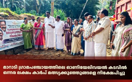 മാറാടി ഗ്രാമപഞ്ചായത്തിലെ ഓണിയേലിവയൽ കടവിൽ ഒന്നര ലക്ഷം കാർപ് മത്സ്യക്കുഞ്ഞുങ്ങളെ നിക്ഷേപിച്ചു