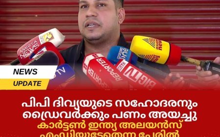 പിപി ദിവ്യയുടെ സഹോദരനും ഡ്രൈവർക്കും പണം അയച്ചു; കാർട്ടൺ ഇന്ത്യ അലയൻസ് എംഡിയുടേതെന്ന പേരിൽ ശബ്ദസന്ദേശവും പണമിടപാടിൻ്റെ സ്ക്രീൻ ഷോട്ടുകളും പുറത്ത്