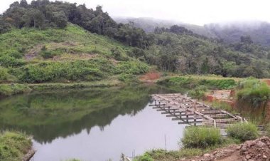 പി വി അന്‍വറിന്റെ അനധികൃത തടയണകള്‍ പൊളിച്ചില്ല; പഞ്ചായത്ത് സെക്രട്ടറിക്ക് ഹൈക്കോടതി നോട്ടിസ്