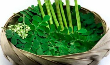 മുരിങ്ങപ്പൂവും ഇലയുംകൊണ്ട് തയാറാക്കാം സ്വാദിഷ്ടമായ തോരൻ