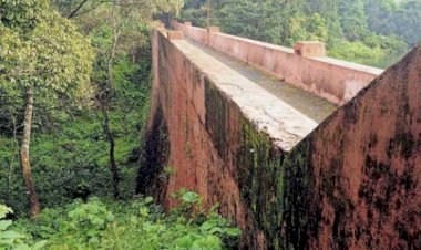 വിവാദ മരംമുറി ഉത്തരവ് റദ്ദാക്കി, ഉദ്യോഗസ്ഥനെ സസ്‌പെന്‍ഡ് ചെയ്തു