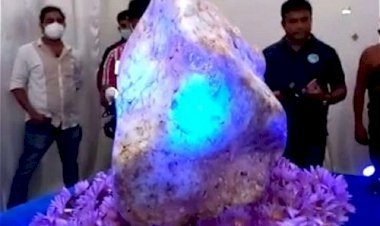 310 കിലോ ഗ്രാം ഭാരം; ലോകത്തിലെ ഏറ്റവും വലിയ ഇന്ദ്രനീലക്കല്ലിന് 743 കോടി രൂപ