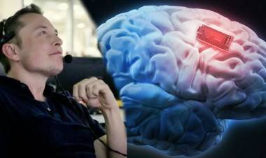 മിന്നലേറ്റാൽ തലക്കുള്ളിലെ ചിപ്പ് ജീവനെടുക്കും, ഒന്നും പറയാതെ മസ്ക്