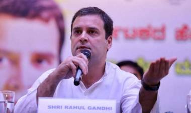 സോണിയാ ഗാന്ധി രാജ്യത്തിന് വേണ്ടി ഏറെ സഹിച്ചു- രാഹുല്‍ ഗാന്ധി