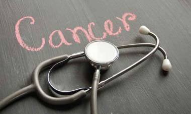 അദ്ഭുതം സൃഷ്ടിക്കുമോ ശ്രീചിത്രയിൽ വികസിപ്പിച്ച കാൻസർ മരുന്ന് 