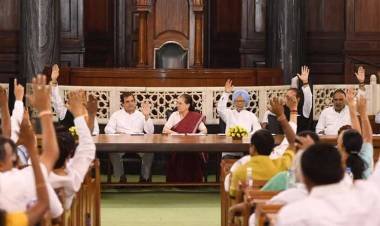 കോൺഗ്രസിന്റെ സംയുക്ത പാർലമെന്ററി പാർട്ടി അധ്യക്ഷയായി സോണിയാ ഗാന്ധി തുടരും.