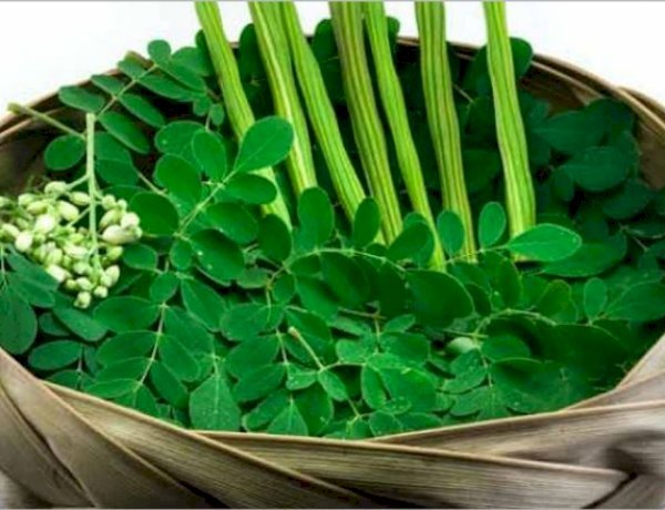 മുരിങ്ങപ്പൂവും ഇലയുംകൊണ്ട് തയാറാക്കാം സ്വാദിഷ്ടമായ തോരൻ